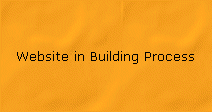 Website in Building Process